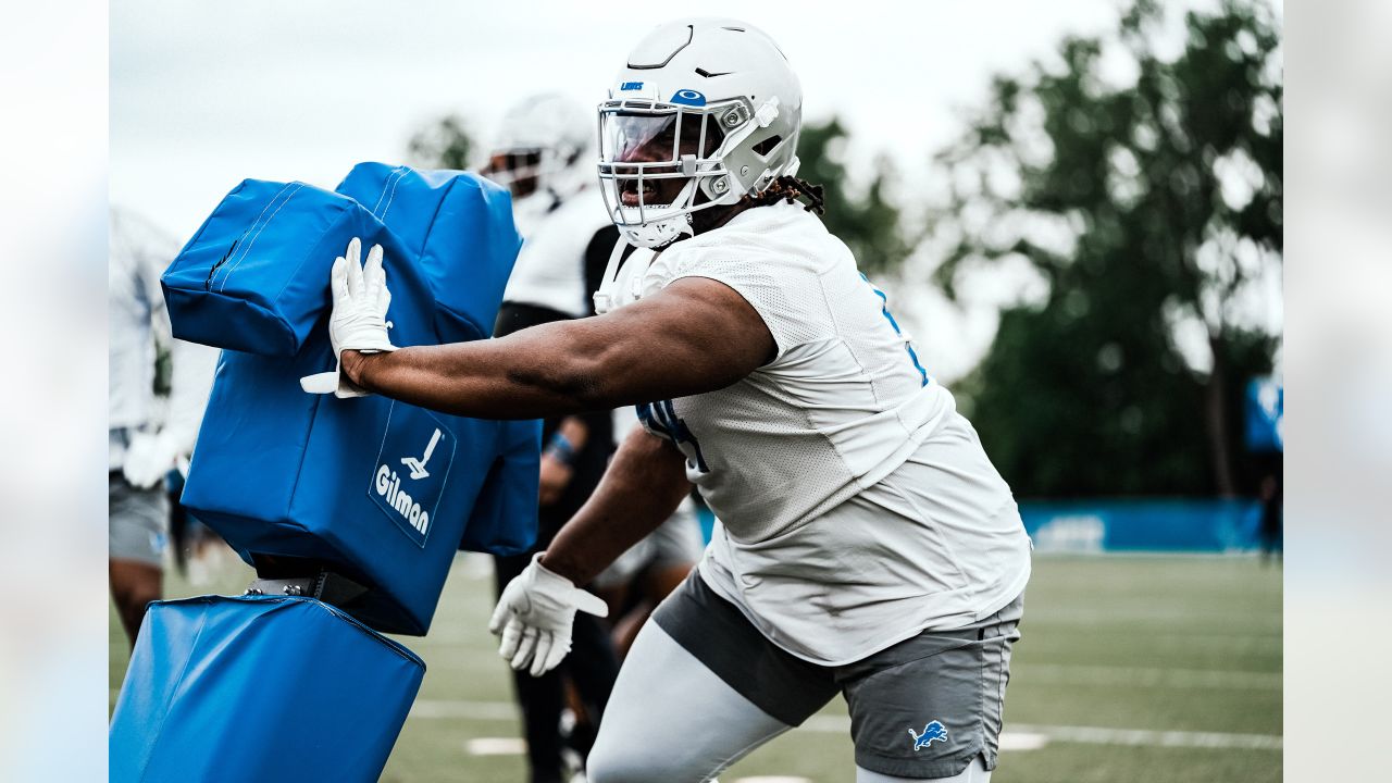 Detroit Lions' Alim McNeill, Ifeatu Melifonwu may be 2022 stars