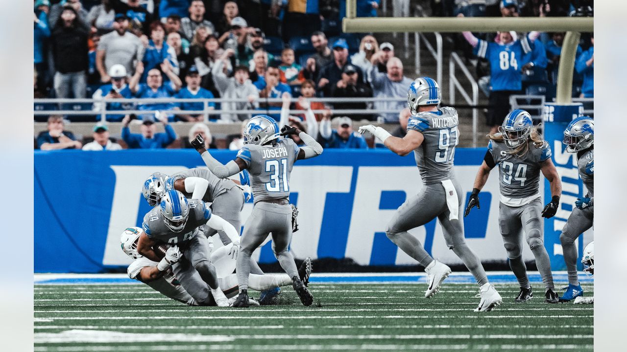 Detroit Lions linebacker Malcolm Rodriguez (44) pursues a play on defense  against the Miami Dolphins during an NFL football game, Sunday, Oct. 30,  2022, in Detroit. (AP Photo/Rick Osentoski Stock Photo - Alamy