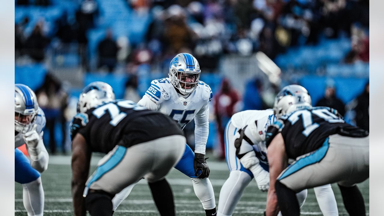 Detroit Lions linebacker James Houston (41) on defense during an NFL  preseason football game against the Carolina Panthers, Friday, Aug. 25,  2023, in Charlotte, N.C. (AP Photo/Brian Westerholt Stock Photo - Alamy