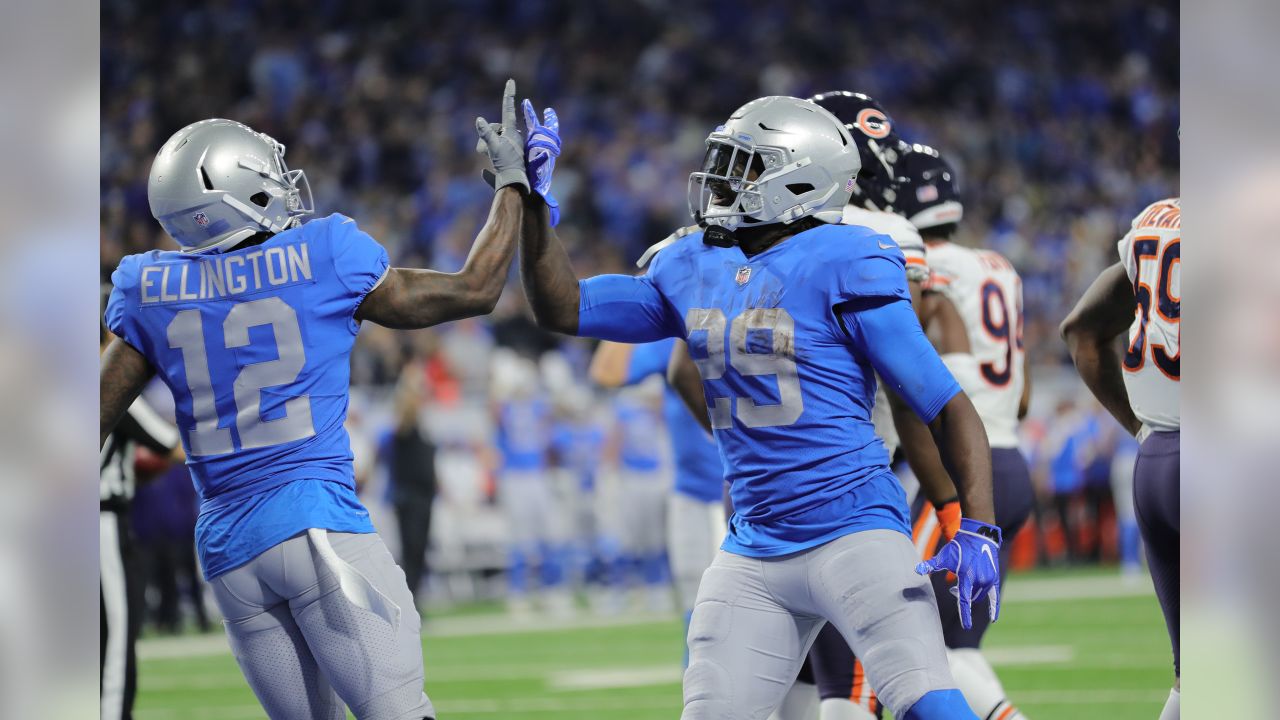 Detroit Lions running back LeGarrette Blount (29) celebrates his