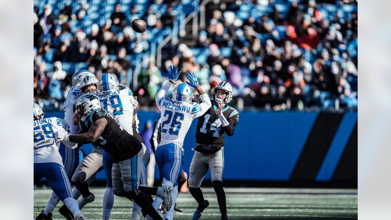 Detroit Lions running back Craig Reynolds (13) looks on against the  Carolina Panthers during a preseason NFL football game Friday, Aug. 25,  2023, in Charlotte, N.C. (AP Photo/Jacob Kupferman Stock Photo - Alamy