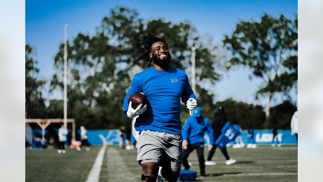 Detroit Lions 2023 OTA offseason workouts and minicamp schedule