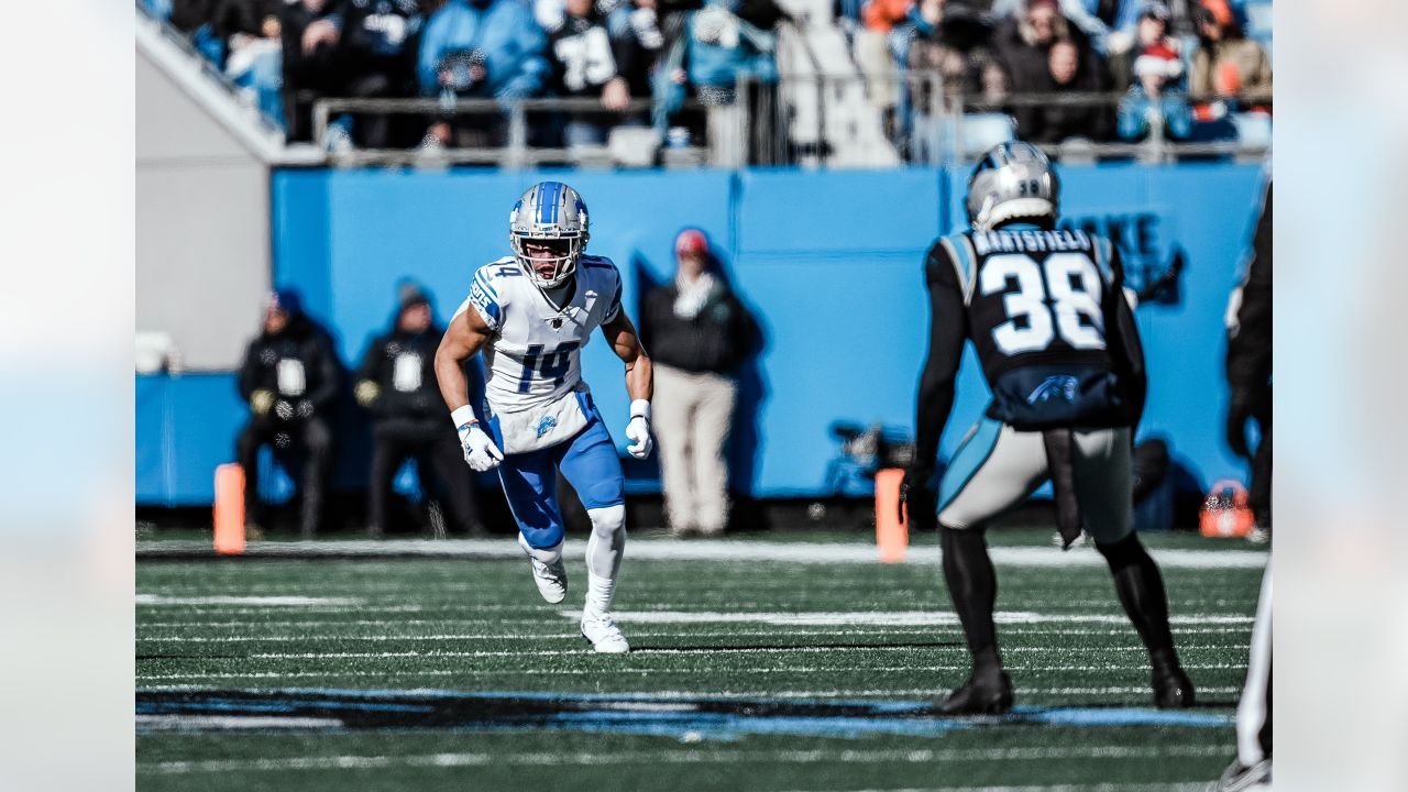 CHARLOTTE, NC - DECEMBER 24: Detroit Lions quarterback Jared Goff (16)  during an NFL football game between the Detroit Lions and the Carolina  Panthers on December 24, 2022, at Bank of America