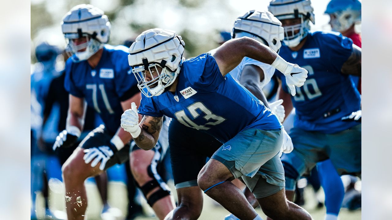 Dan Campbell buying stock in Lions WR Josh Reynolds: I call him the  'praying mantis' 