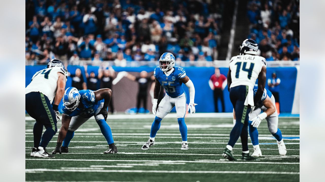 Detroit Lions Lead NFC North Standings with 3-1 Record - BVM Sports