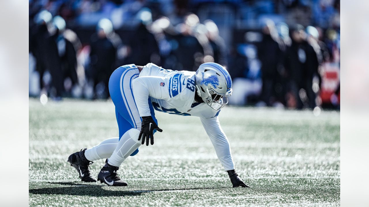 Detroit Lions running back Craig Reynolds (13) looks on against the  Carolina Panthers during a preseason NFL football game Friday, Aug. 25,  2023, in Charlotte, N.C. (AP Photo/Jacob Kupferman Stock Photo - Alamy