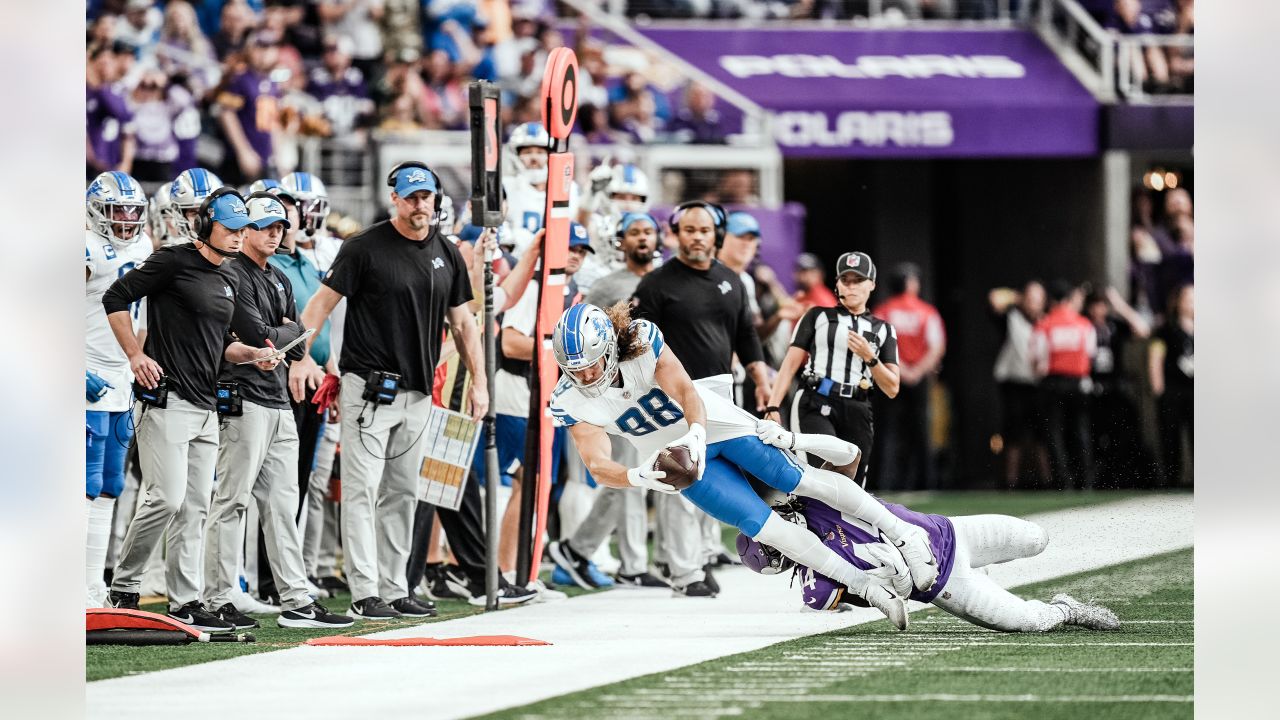 Vikings vs. Lions - mpls downtown council