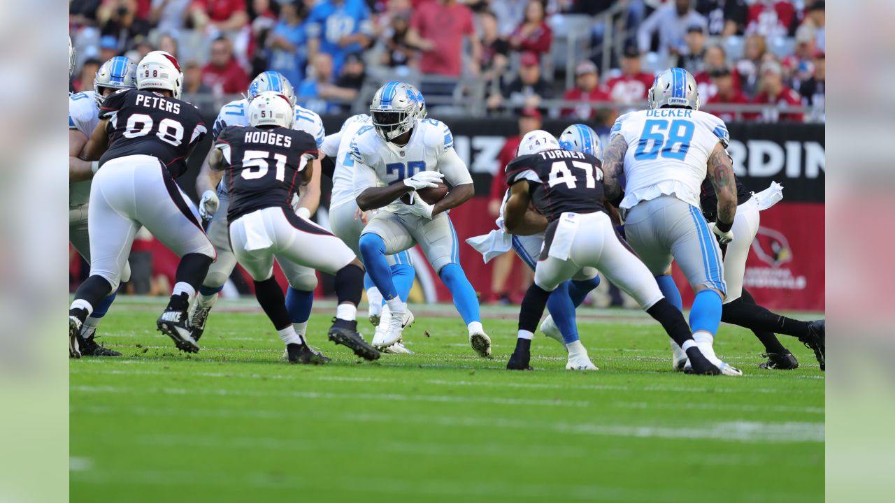 Detroit Lions running back LeGarrette Blount (29) during a NFL football game against the Arizona Cardinals on Sunday, Dec. 9, 2018 in Glendale, Ariz. (Detroit Lions via AP).