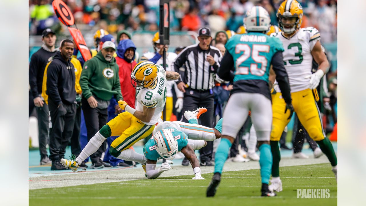 A unicorn at his position': The last of a dying breed, Marcedes Lewis'  value to Packers goes well beyond stat sheet - The Athletic