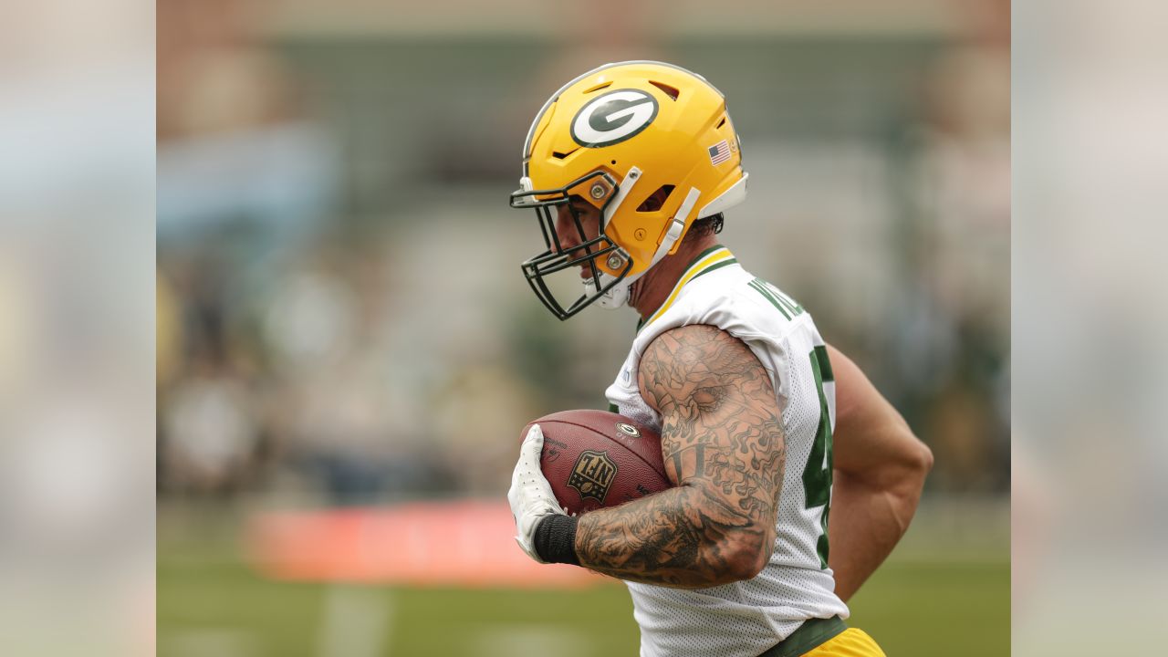 Why Packers should re-sign Lane Taylor this offseason