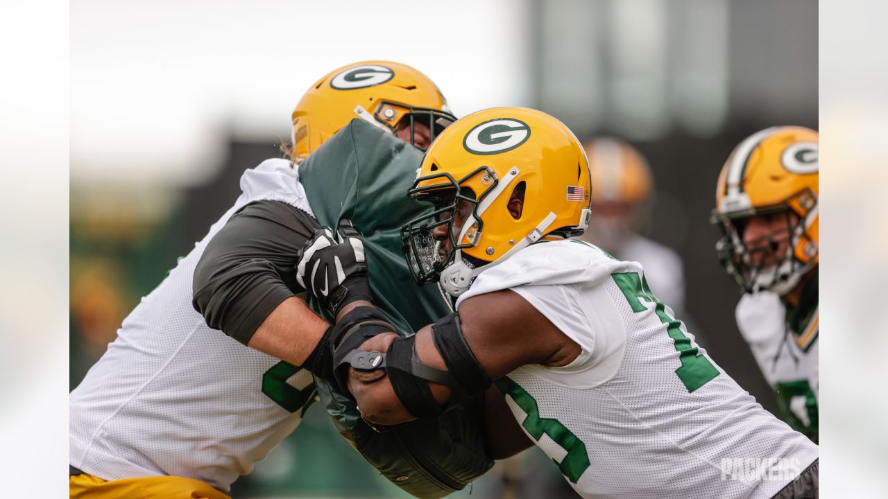 Packers Cautiously Optimistic Damon 'Snacks' Harrison Can Make Howard  Green-Like Impact - Sports Illustrated Green Bay Packers News, Analysis and  More