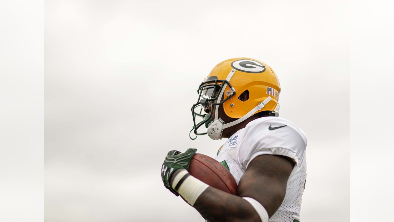 Packers opt against bringing back Marcedes Lewis amidst youth movement