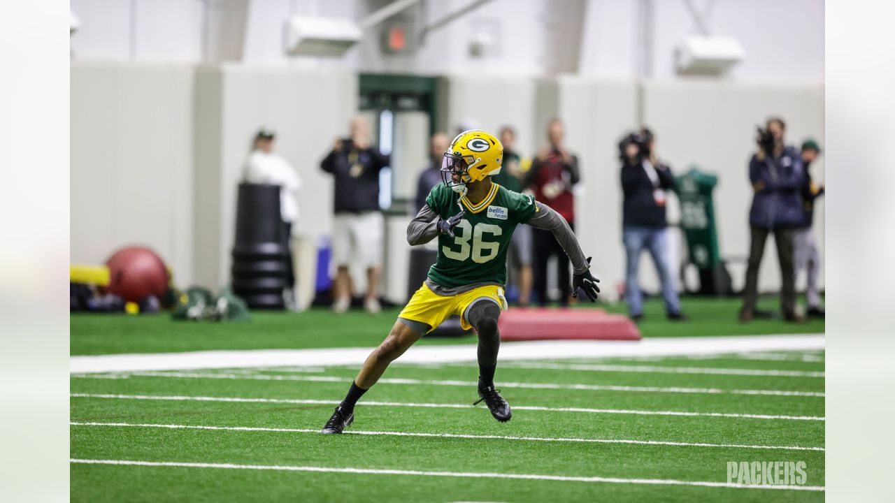 Packers' Watkins savors new start after uncertain offseason