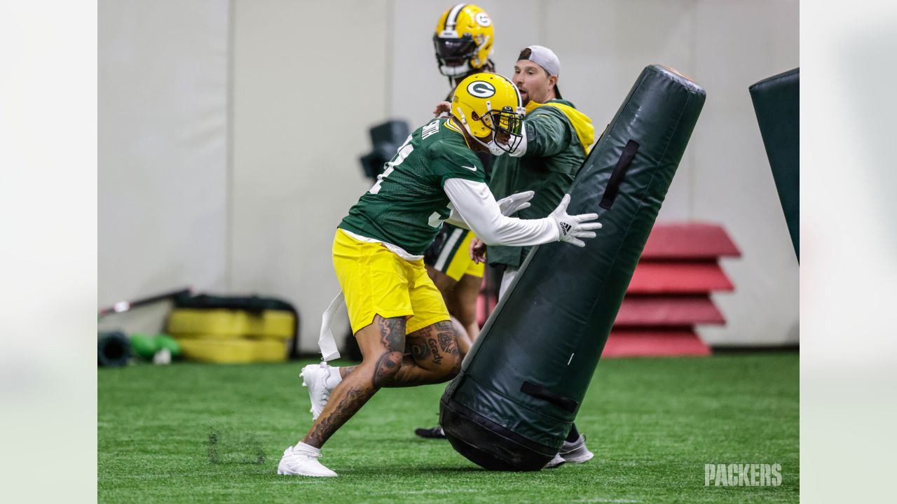 Packers' Watkins savors new start after uncertain offseason