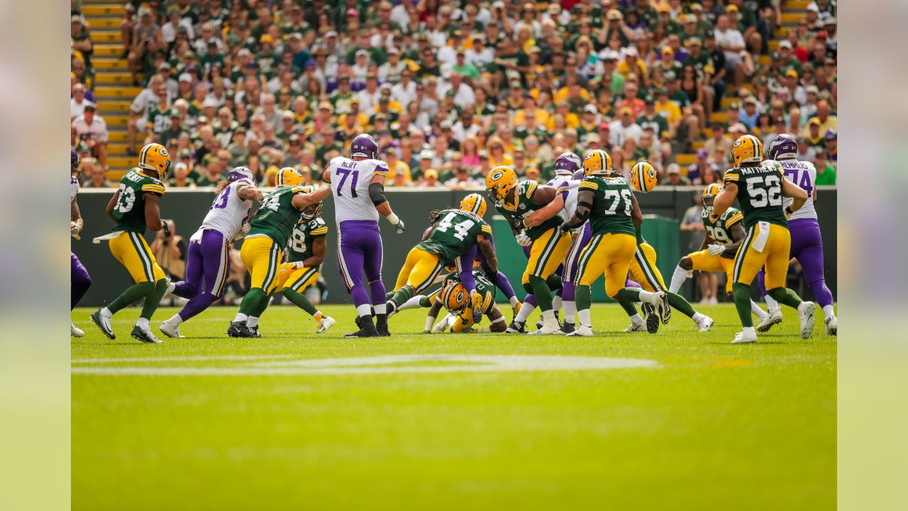 NFC North: Minnesota Vikings, Green Bay Packers tie, 29-29