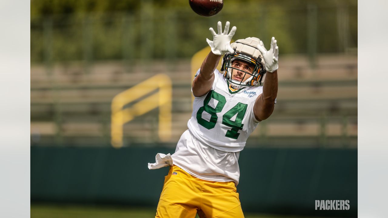 Packers by position: While Robert Tonyan recovers, Packers look to Josiah  Deguara, Tyler Davis to step up