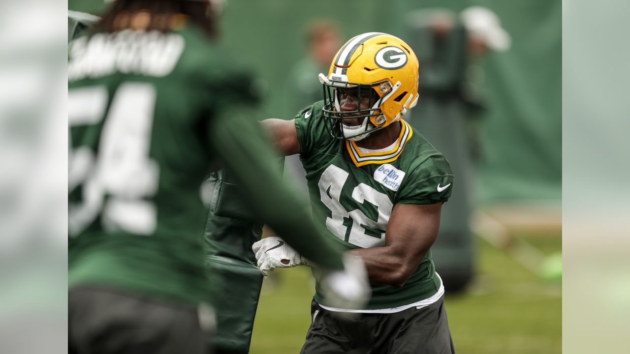 TSH Spotlight: Davante Adams. Player profile on Green Bay Packers WR…, by  The Sideline Hustle