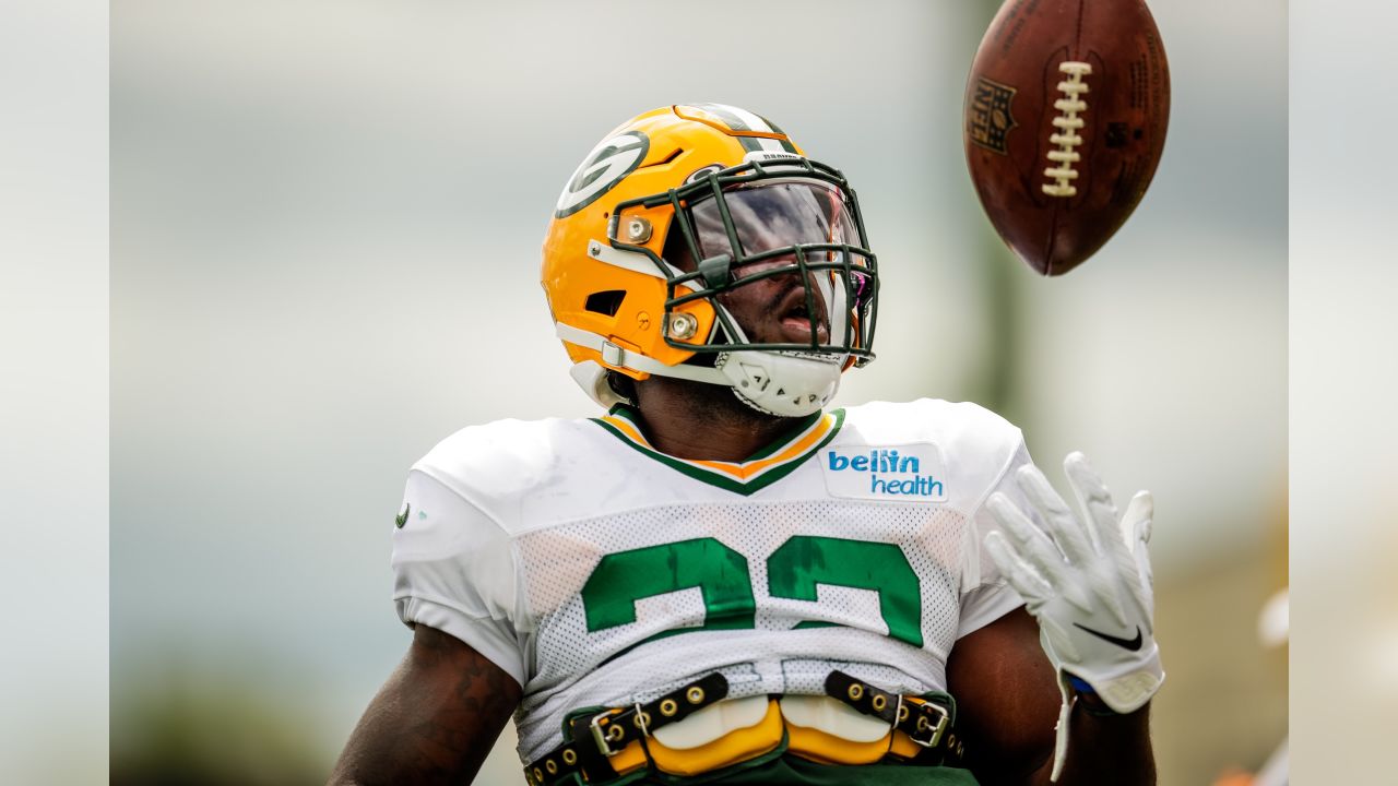 12/3/2017 Jamaal Williams happy dance!  Green bay packers, Green bay,  Football helmets