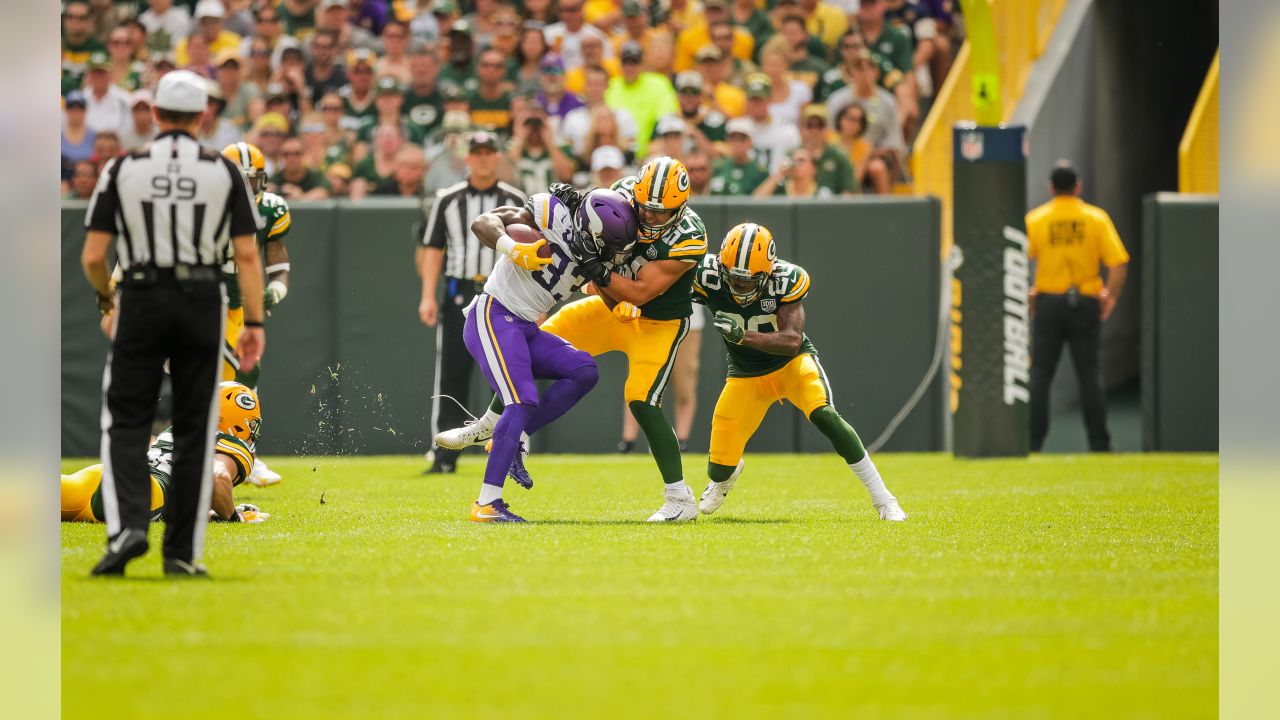 NFC North: Minnesota Vikings, Green Bay Packers tie, 29-29