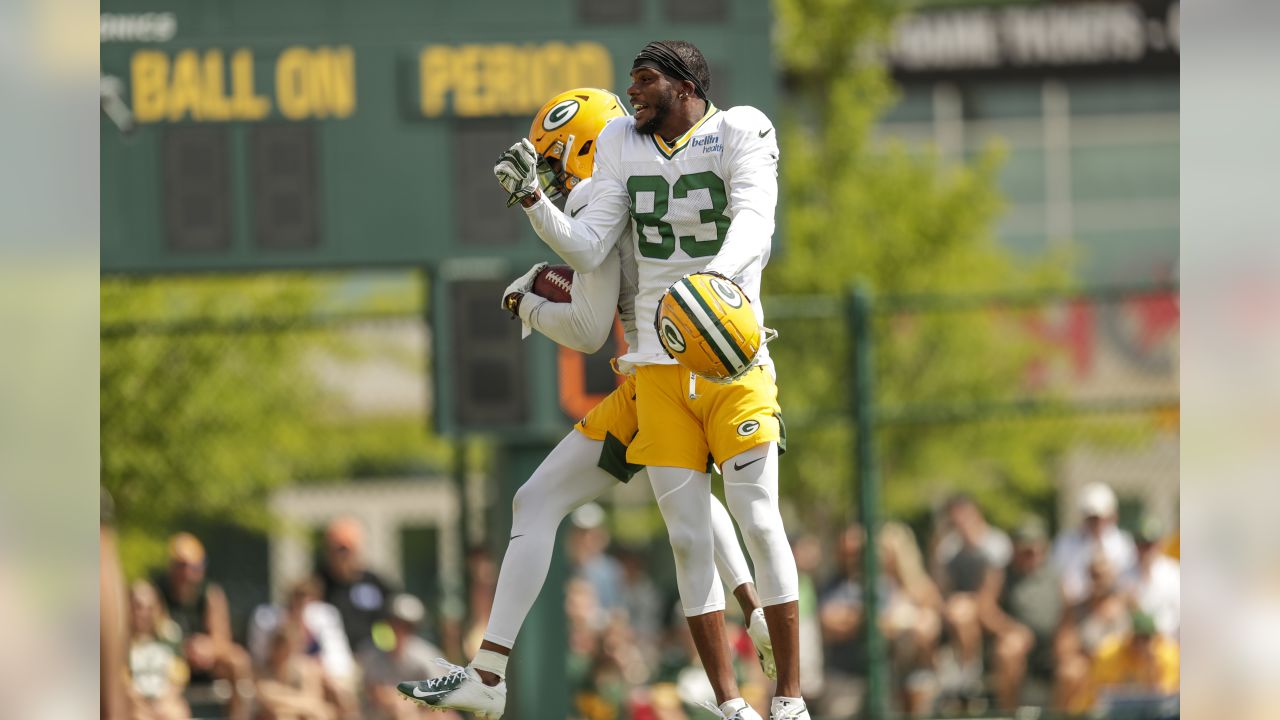 What Tramon Williams Brings to the Green Bay Packers - Last Word on Pro  Football