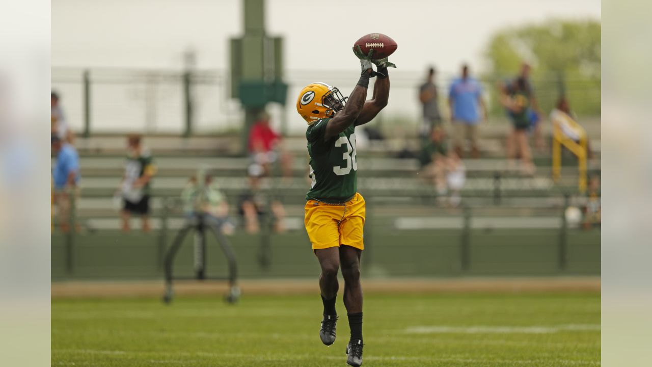 Ha Ha Clinton-Dix: The Packers 'invited me in as family'