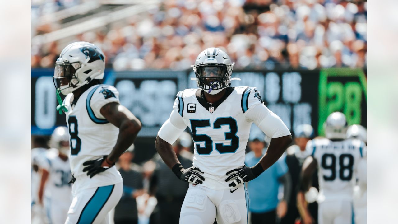 Panthers LB Frankie Luvu shines with more snaps in Week 2