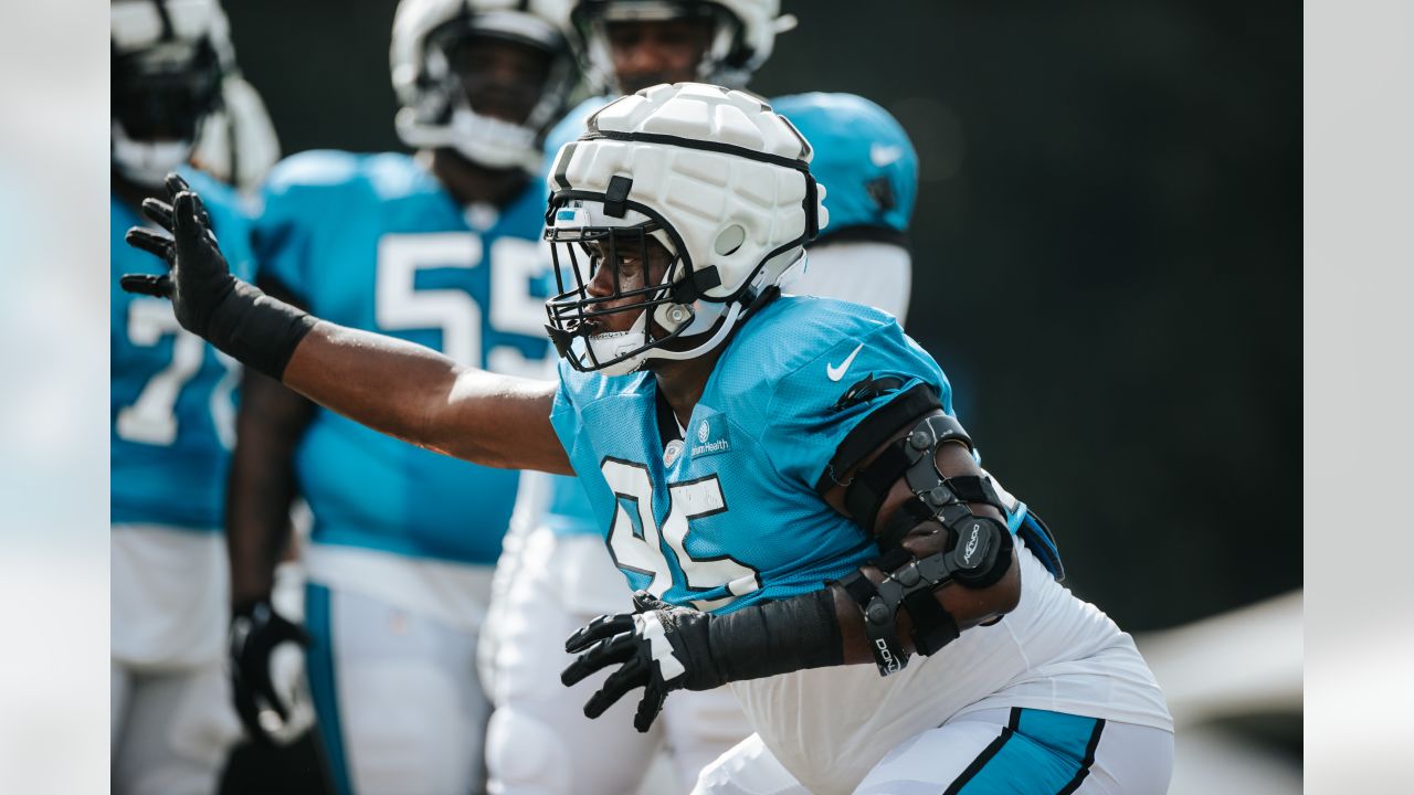 New Panthers DL DeShawn Williams is happy to be home