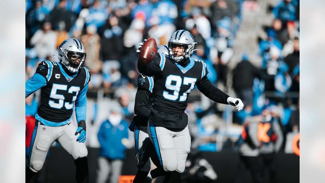 140 Carolina Panthers ideas  carolina panthers, panthers, nfc south