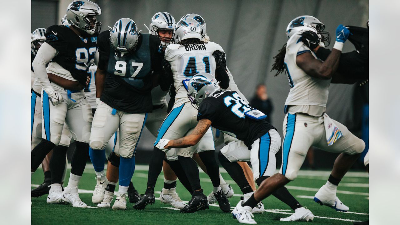 Carolina Panthers running back Spencer Brown (41) looks on against