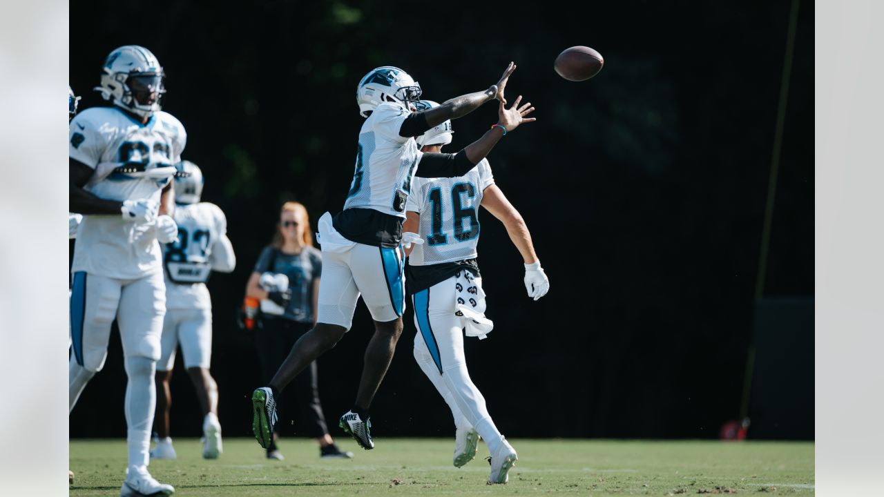 Panthers re-sign former fifth-round pick Daviyon Nixon to practice squad -  On3