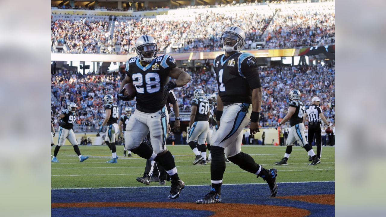 Denver Broncos Von Miller (58) celebrates a sack of Carolina Panthers  quarterback Cam Newton for 11 yard loss forcing a fumble that turned into a  Broncos touchdown in the first quarter of