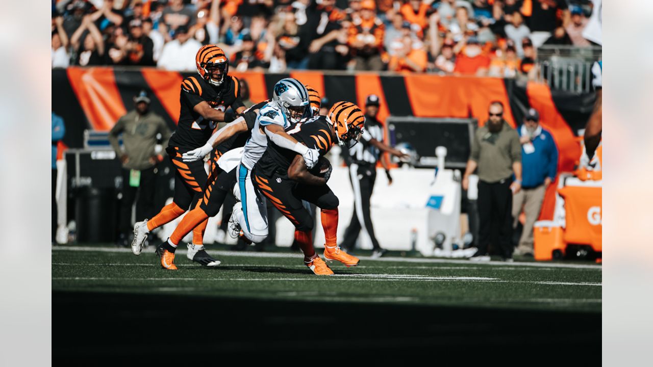 CINCINNATI, OH - NOVEMBER 06: A Carolina Panthers helmet sits during the  game against the Carolina Panthers and the Cincinnati Bengals on November  6, 2022, at Paycor Stadium in Cincinnati, OH. (Photo