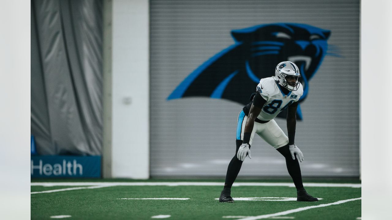 P.J. Walker, The Rise Of The Panthers Offense, And Beyond