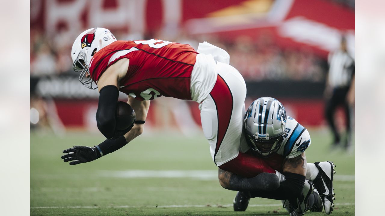 Panthers, Led by Flashy Cam Newton, Swamp Flailing Cardinals - The