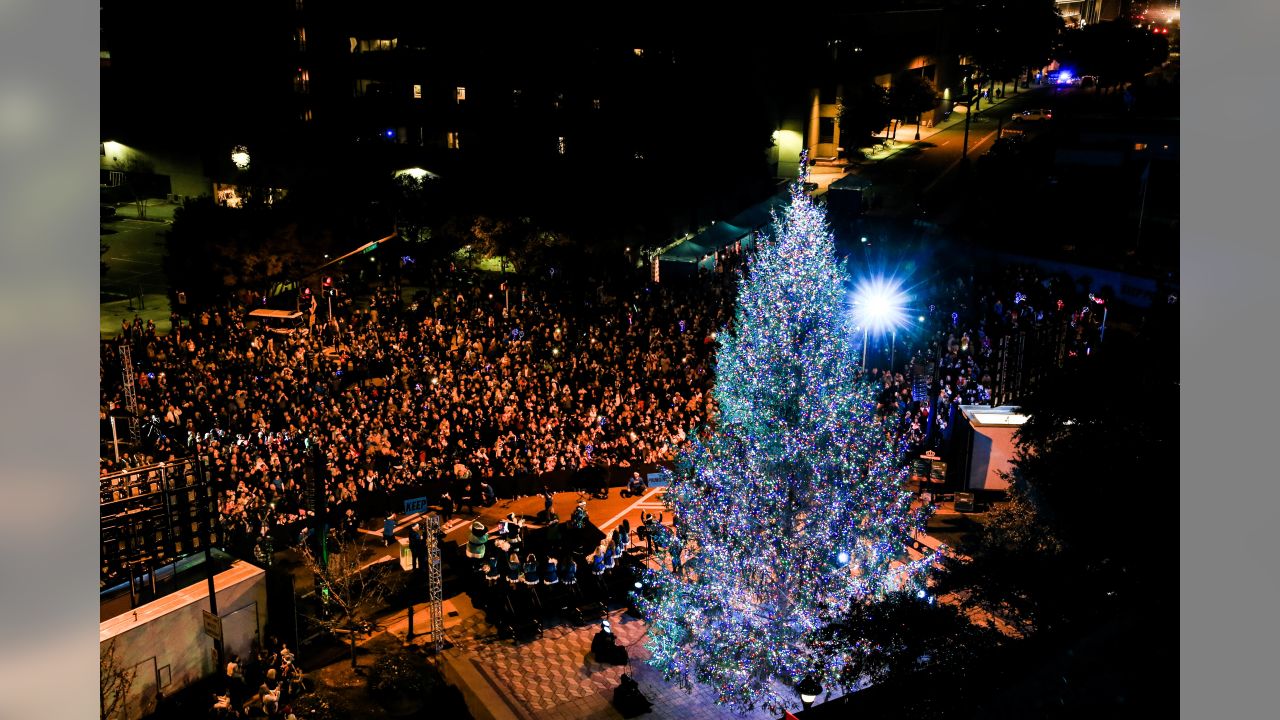 Carolina Panthers Christmas Tree #KeepPounding  Carolina panthers christmas,  Carolina panthers, Carolina panthers football