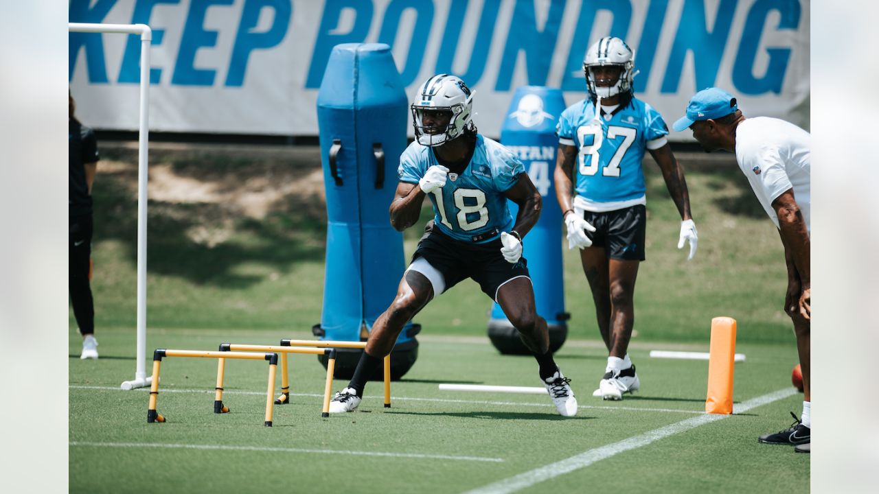 Panthers add to roster after rookie minicamp