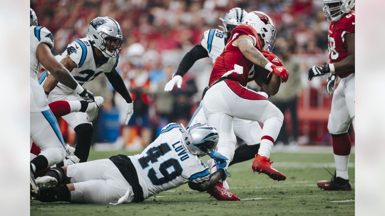 Cam Newton's 'super' effort leads Panthers to 49-15 rout of Cardinals