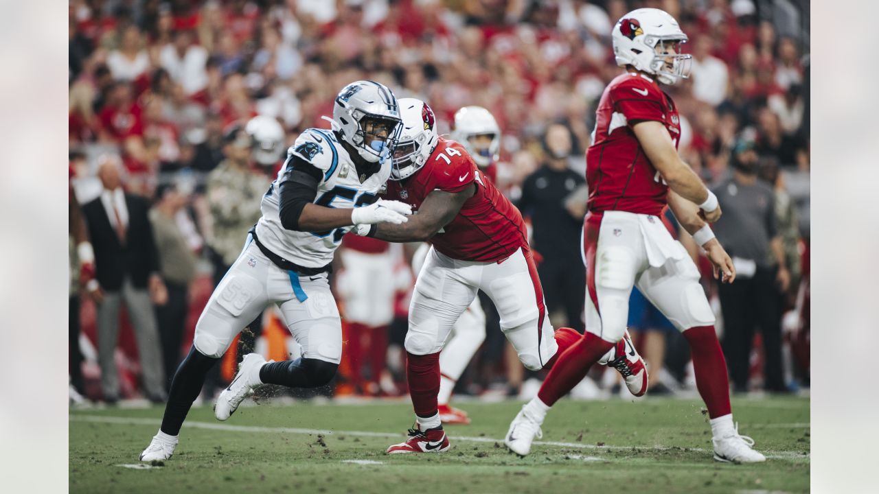 Cam Newton's 'super' effort leads Panthers to 49-15 rout of Cardinals