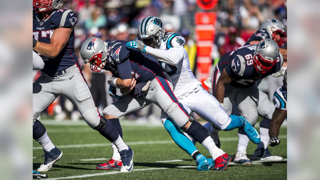 Julius Peppers Signed Carolina Panthers Chasing Tom Brady 16x20 Photo -  Schwartz Authenticated