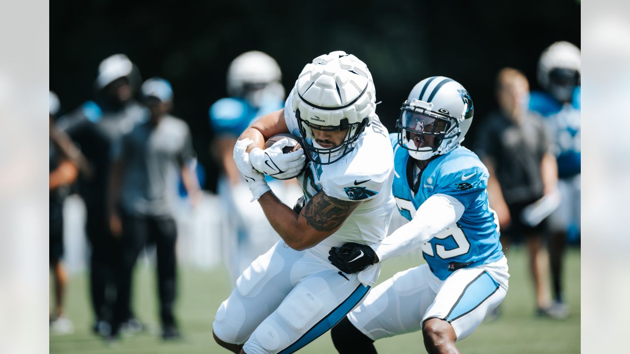 Panthers release first depth chart of 2022