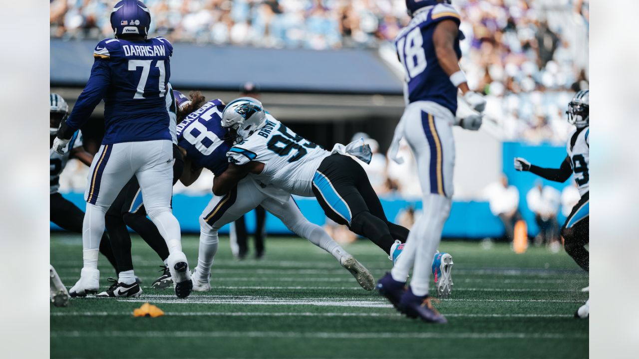 Winless Panthers feel urgency with winless Vikings up next - ESPN -  Carolina Panthers Blog- ESPN