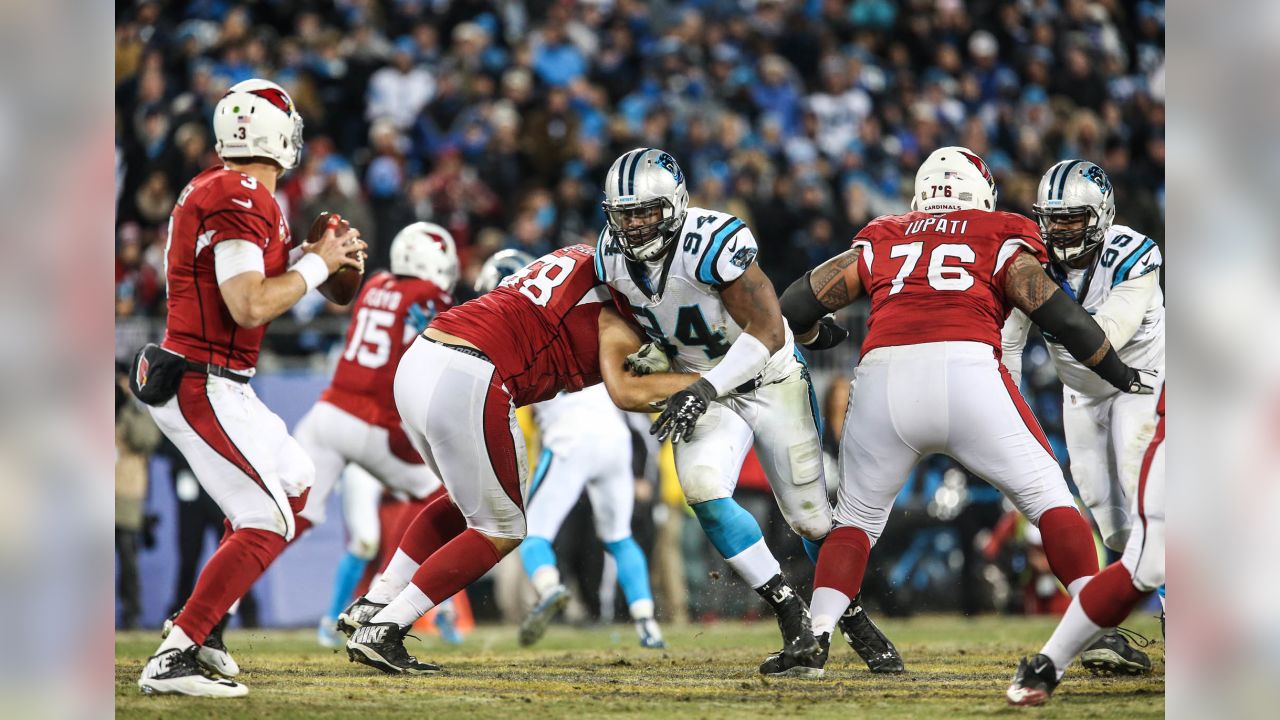 Can the Panthers Really Go 16-0? (Thanksgiving Day Recap)