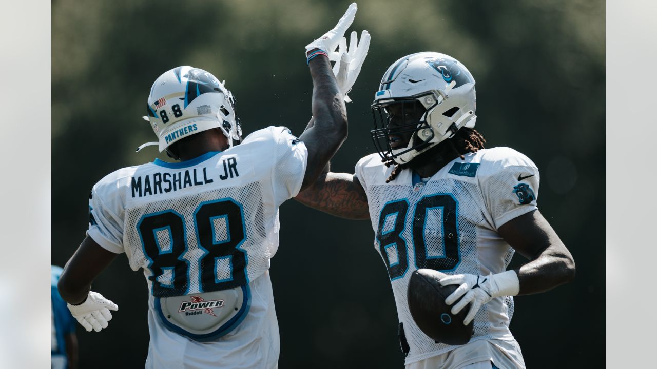 CHARLOTTE, NC - SEPTEMBER 25: Daviyon Nixon (54) of the Carolina Panthers  smiles as he brings the