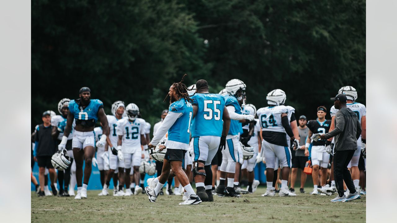 Daniel Lions shares practice field with Carolina Panthers & see Lions alum  DeShawn Williams living NFL dream