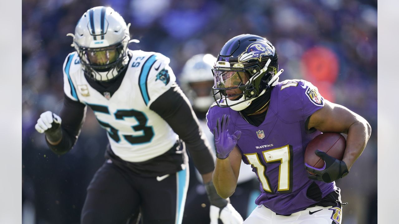 Ravens Report: Week 11 vs. Carolina Panthers