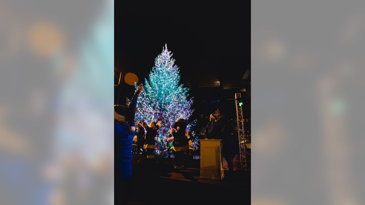 Carolina Panthers Christmas Tree #KeepPounding  Carolina panthers christmas,  Carolina panthers, Carolina panthers football