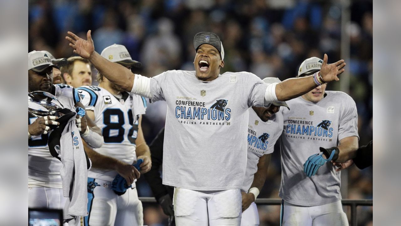 NFC Championship Game: Cardinals at Panthers