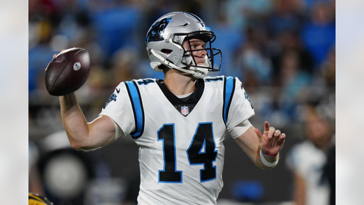 53-man roster breakdown: Panthers still taking shape