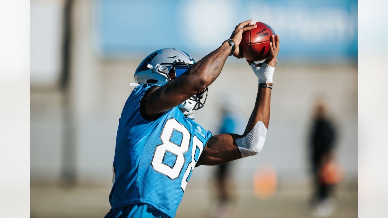 Jaycee Horn Injury: Panthers CB Appears to Suffer Severe Wrist Injury