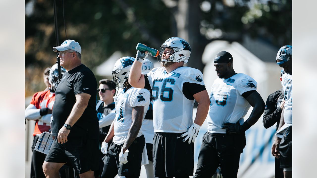 The Explanation Behind Terrace Marshall Jr. Being Inactive vs Saints -  Sports Illustrated Carolina Panthers News, Analysis and More